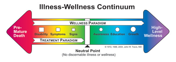 Moving Along the Illness-Wellness Continuum over a Lifetime